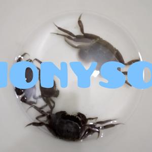 静悄悄（inst.）