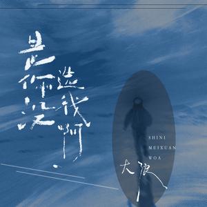 是你没选我啊(R&B版)