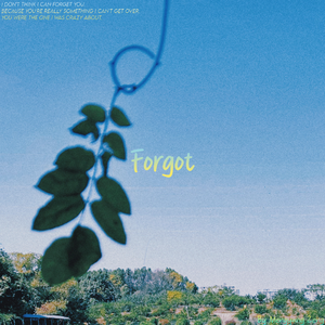 Forgot