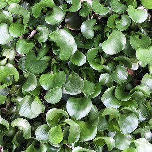 有你在就是幸福