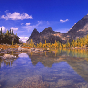 写给黄冠老师的节奏布鲁斯