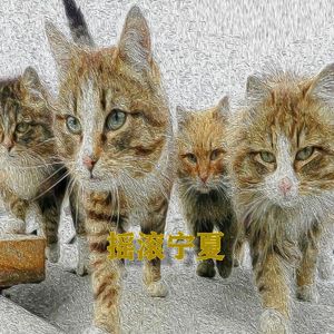 摇滚宁夏