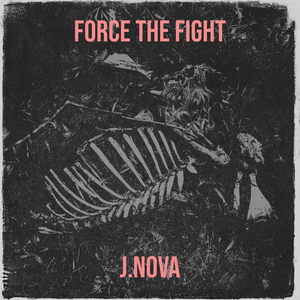 Force the Fight