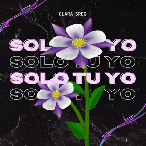 Solo Tu Yo