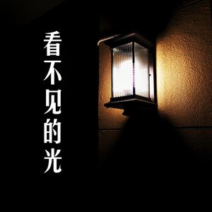琴的夜