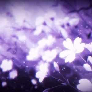Sea of Feelings