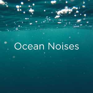 瞑想のための海の音