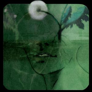 君がいない世界で