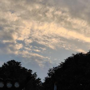 沼泽（cover.空匪）