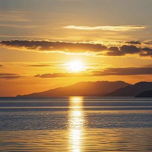 cloud_20241121_1228010