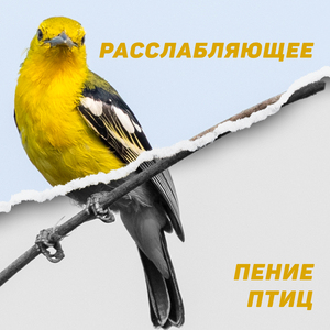Небольшое расслабление