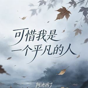 可惜我是一个平凡的人