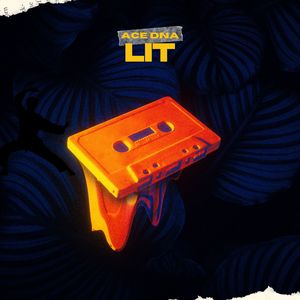 Lit (Freestyle)