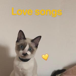Love Songs 翻自 Kaash Paige（翻自 Various Artists）