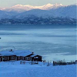 乐观者正在前行