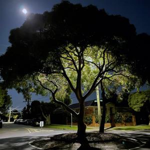 I Will Leave You Notes (Je Te Laisserai Des Mots)