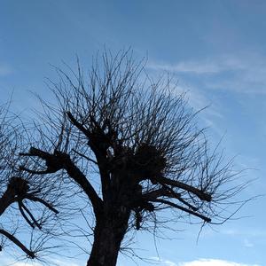 Sunshine, love and neon lights