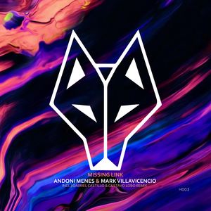 Missing Link (Gustavo Lobo Remix)