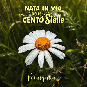 NATA IN VIA DELLE CENTO STELLE