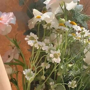 荷尔蒙偏差（cover）