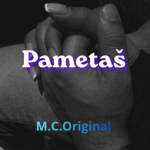 Pametaš