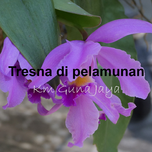 Tresna di pelamunan