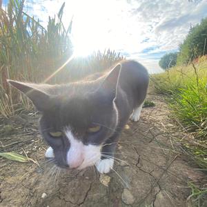 metronome beep beep beep beep