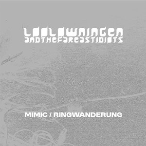 リングワンデルング