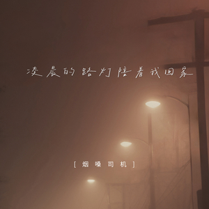 凌晨的路灯陪着我回家