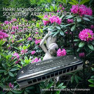 Kangasala Wandering Mind