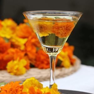 She Never Said Goodbye