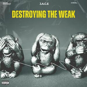 Destroying The Weak (feat. Velvet Jugganaut & D Revell)