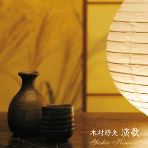 涙を抱いた渡り鳥