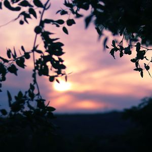 岁月静好的时光