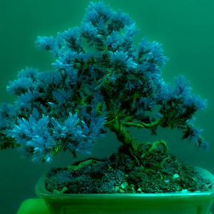 Blod besvimelse (Instrumental Version)