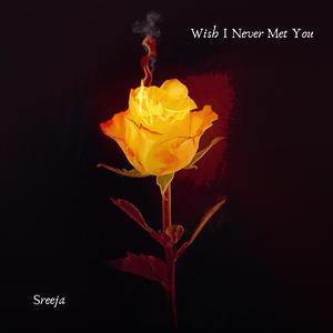 Wish I Never Met You
