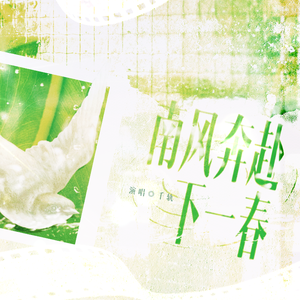 南风奔赴下一春