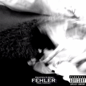 Fehler