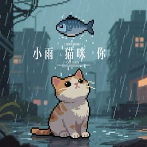 小雨 猫咪 你