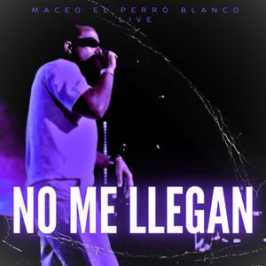 no me llegan