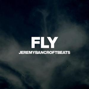 Fly