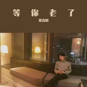 等你老了