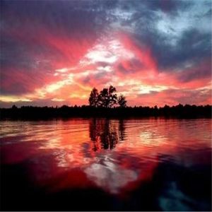 对于我的梦 我不曾低头