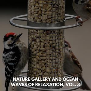 Shapeless Rain Music