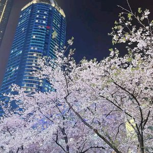 想拥抱雪的刺骨 证明爱过你的温度