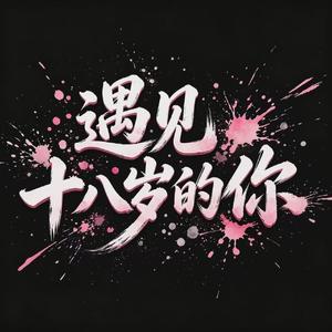 遇见十八岁的你
