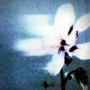 a rockstar’s interlude