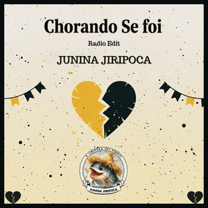 Chorando Se Foi (Radio edit)