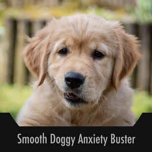 Melodic Pet Soothing Stress Buster