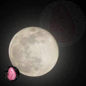 to the moon and back